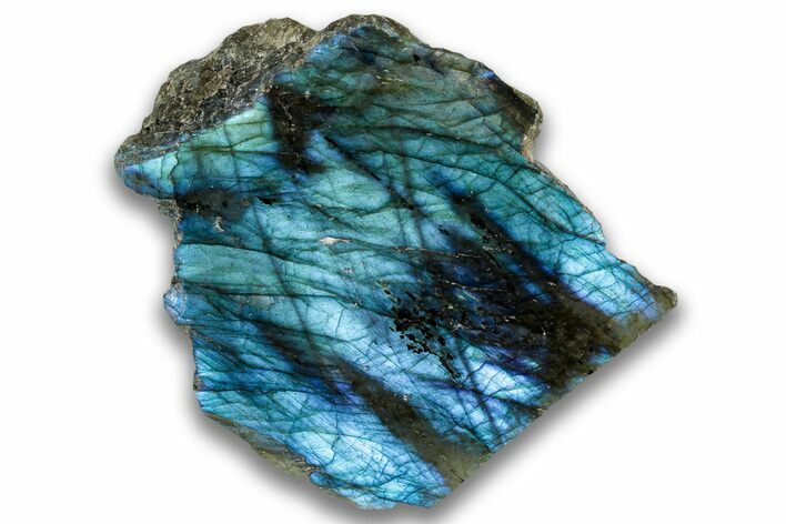 Single Side Polished Labradorite Section - Madagascar #324691